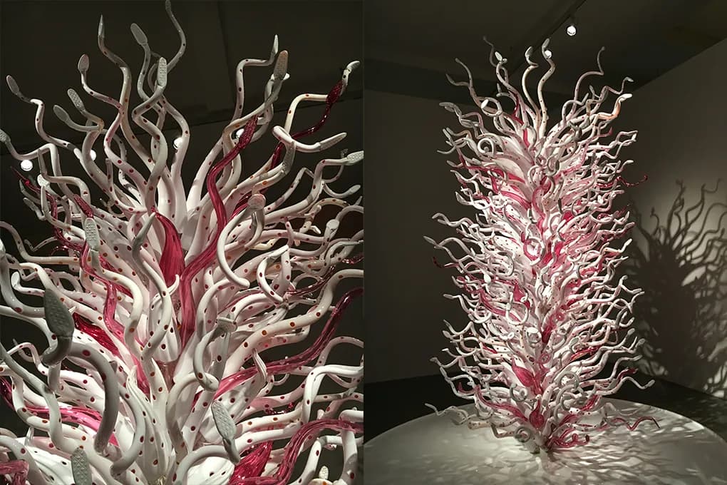 Dale Chihuly — Project White Tower / Jerusalem